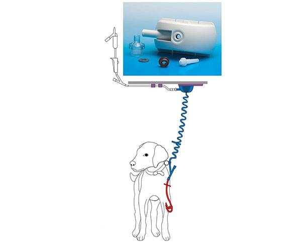 <p><em>这是Flex-Coil IV系统连接到一只狗。挠性管从安装的外壳引出，外壳包含专利旋转密封装置。组成密封组件的单个组件也如图所示。</em></p>