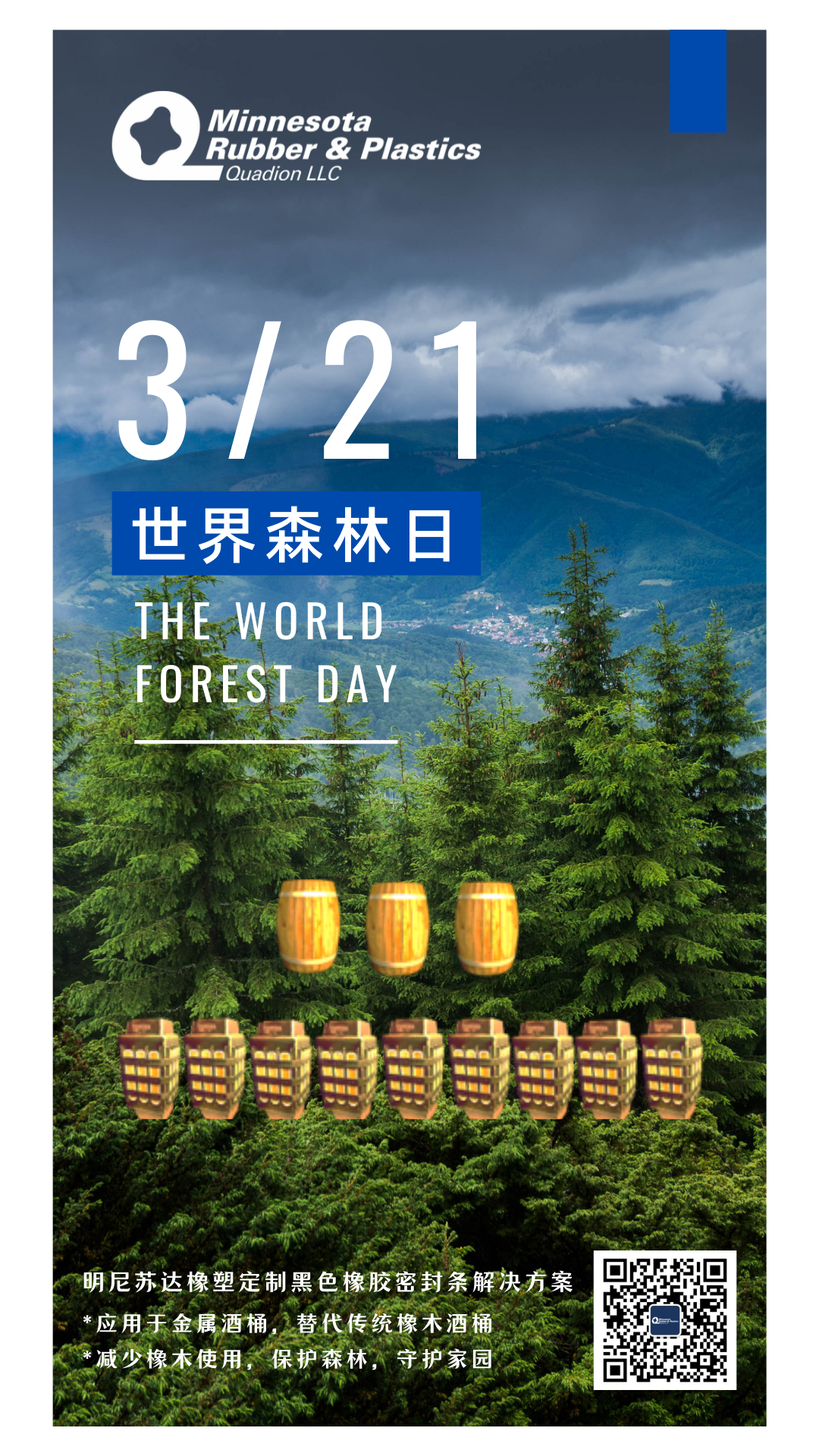红绿色森林照片世界森林日宣传中文手机海报 (2).png
